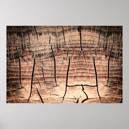 木の切り株の背景、年齢、年齢、年齢 ポスター (正面)