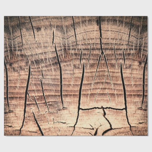 木の切り株の背景、年齢、年齢、年齢 ラッピングペーパー (フラット)