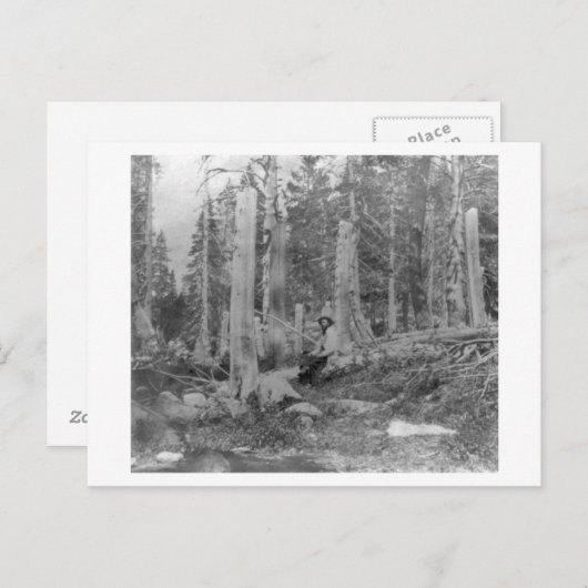 木の切り株はDonnerのパーティーによって削減しました インビテーションポストカード (正面/裏面)