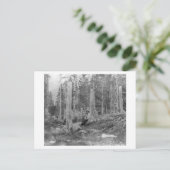 木の切り株はDonnerのパーティーによって削減しました インビテーションポストカード (スタンド正面)