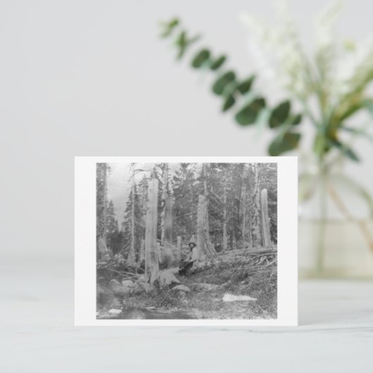 木の切り株はDonnerのパーティーによって削減しました インビテーションポストカード (スタンド正面)