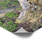 木の切り株ポスター ポスター (角)