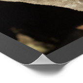 木の切り株ポスター ポスター (角)