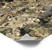 木の切り株 ポスター (角)