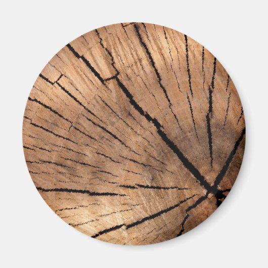 木の切り株 マグネット (正面)