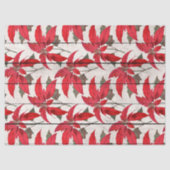 木の切り離しページのクリスマスポイント 薄葉紙 (正面)