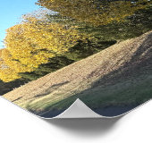 木の列のポスター ポスター (角)