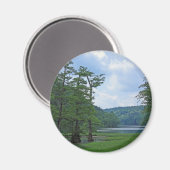 木の列の磁石 マグネット (正面/裏面)