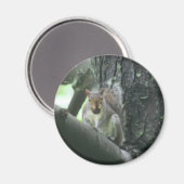 木の動物の芸術の磁石のリス マグネット (正面/裏面)