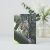 木の動物の芸術の郵便はがきのリス ポストカード (スタンド正面)