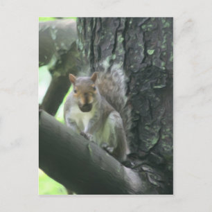 木の動物の芸術の郵便はがきのリス ポストカード