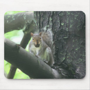 木の動物アートのリス マウスパッド