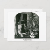 木の周りに集まる – ヴィンテージ立体視 ポストカード (正面/裏面)