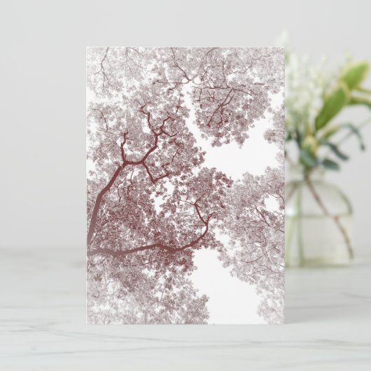 木の地図4 サンキューカード (スタンド正面)