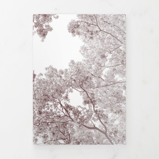 木の地図4 三つ折りクリスマスカード (カバー)