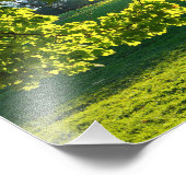 木の夢 フォトプリント            (角)