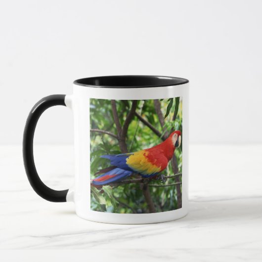 木の大枝の深紅のコンゴウインコ マグカップ (左)