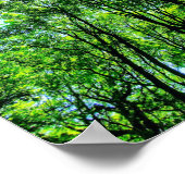 木の天蓋 ポスター (角)