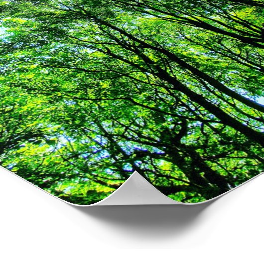 木の天蓋 ポスター (角)