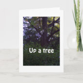 木の子猫は、あなたが1歳も年上ではないことを願っている カード (正面)