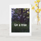 木の子猫は、あなたが1歳も年上ではないことを願っている カード (黄色い花)