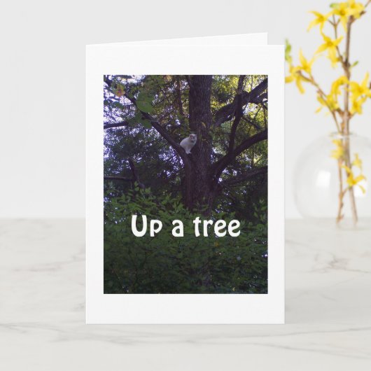 木の子猫は、あなたが1歳も年上ではないことを願っている カード (黄色い花)