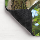 木の子猫 マウスパッド (コーナー)