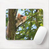 木の子猫 マウスパッド (マウス)