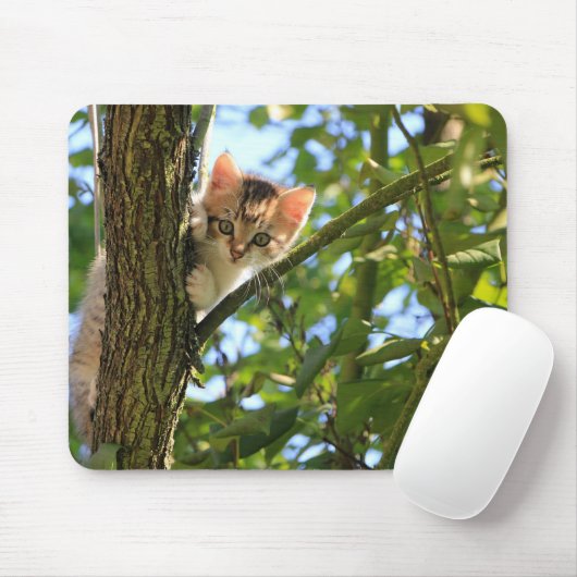 木の子猫 マウスパッド (マウス)