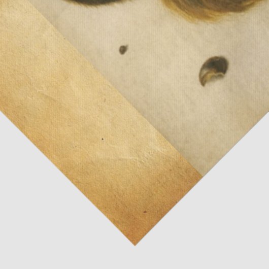 木の実のアルブレヒト公爵の羊皮紙を持つリス 薄葉紙 (詳細)