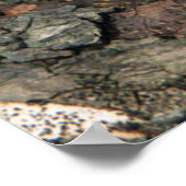 木の小さな子猫 ポスター (角)