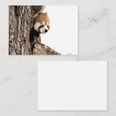 木の幹から覗き出す赤いパンダ ノートカード (正面/裏面)