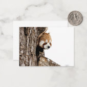 木の幹から覗き出す赤いパンダ ノートカード (正面/裏面インサイチュ)