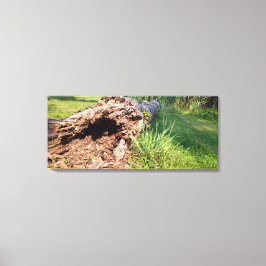 木の幹が粉砕 キャンバスプリント