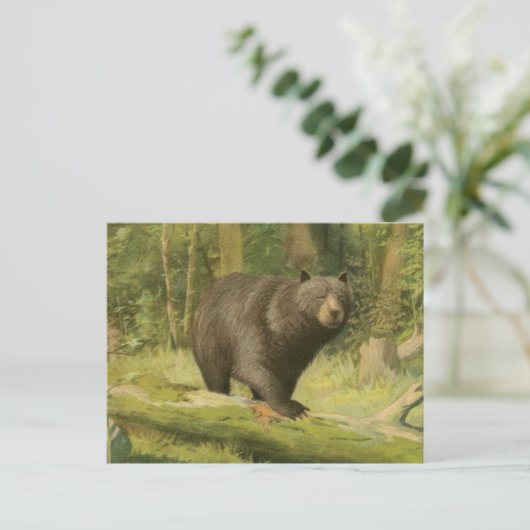 木の幹で歩んでいるツキノワグマ ポストカード (スタンド正面)