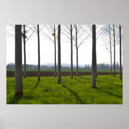 木の幹とフランスの田舎 ポスター