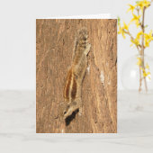 木の幹にいるインドオオヤマネズミ カード (黄色い花)