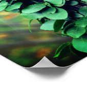 木の幹に成長する葉の多い緑のつる植物 ポスター (角)