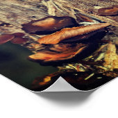 木の幹に生える野生のキノコ ポスター (角)