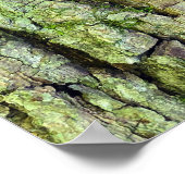 木の幹のキノコ ポスター (角)