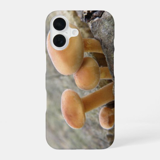 木の幹の上のキノコ iPhone 16ケース (裏面)