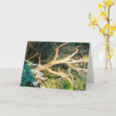 木の幹の写真 カード (黄色い花)
