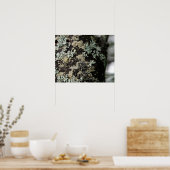 木の幹の地衣類の質感とパターン ポスター (キッチン)