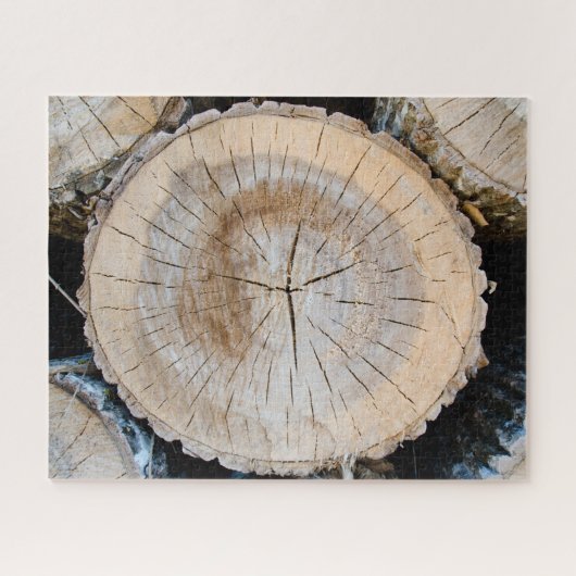 木の幹の断面 ジグソーパズル (横)