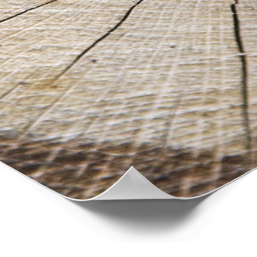 木の幹の断面 ポスター (角)