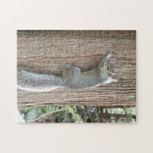 木の幹の灰色リス ジグソーパズル (横)