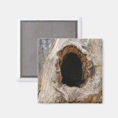 木の幹マグネットの穴 マグネット (正面/裏面)