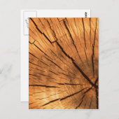 木の幹リングや輪 ポストカード (正面/裏面)