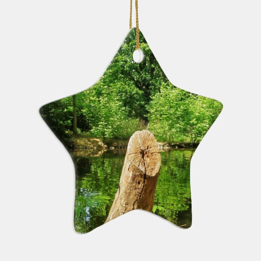 木の幹自然写真湖公園 セラミックオーナメント (右)