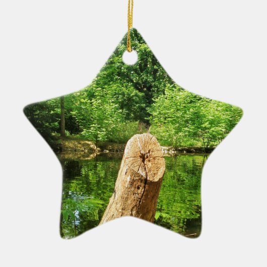 木の幹自然写真湖公園 セラミックオーナメント (正面)
